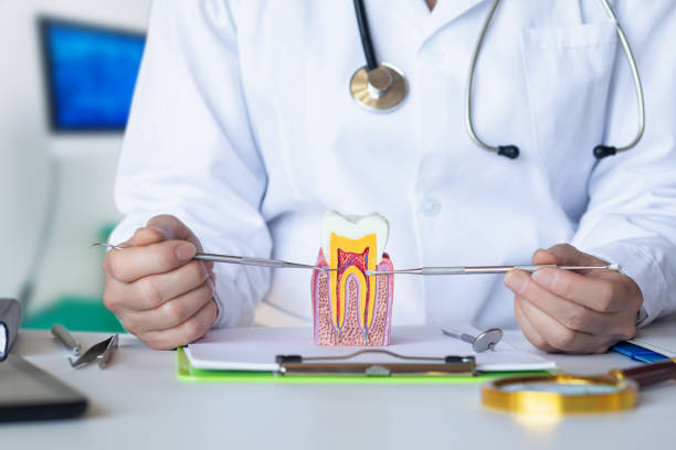 Best Pediatric Emergency Dentist in Ciborne, LA